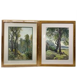 John Arthur Dees (Northern British 1875-1959): Tree Scenes, pair watercolour signed 35cm x 25cm (2)
Provenance: from family of artist