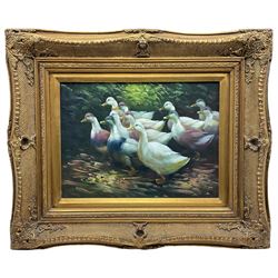 English School (mid 20th century): A Flock of Ducks, oil on canvas unsigned 29cm x 39cm
