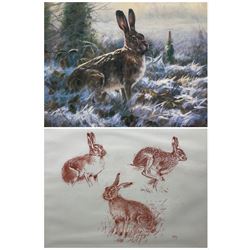 John Trickett (British 1952-): Winter Hare, limited edition colour print signed and numbered 74/395, 20cm x 25cm; John Paley (British Contemporary): Study of Hares, red charcoal signed 35cm x 45cm (2)