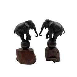 Pair of Japanese Meiji bronze elephants each balancing on a ball with a raised foreleg and on a wooden base H30cm overall