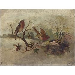 H Swann (British 1818-?): Robins with Nest, oil on board signed and dated 1895 (unframed) together with a small watercolour of pheasants max 23cm x 30cm (2)