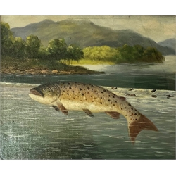 Style of Roland Knight, trout in a river landscape, oil painting, 27cm x 33cm