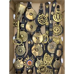 Various horse brasses on leather backing, decorative brass key, shooting stick, walking canes etc 