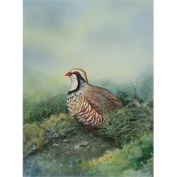 Gordon C Turton (British 1947-): 'Red Legged Partridge', watercolour signed and dated 1988, titled verso 47cm x 35cm
