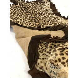 Taxidermy - Early 20th century Indian leopard skin rug (Panthera pardus) flat skin rug with head mount and outstretched limbs with replaced backing 195cm x 12ocm max