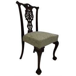 Chippendale design mahogany dining chair, the scrolled cresting rail over pierced splat over seat, raised on ball and claw supports  