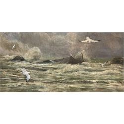 James Arthur Henry Jameson (Irish 1855–1930): Seagulls and Rocky Seascape, oil on board signed and dated '87, 45cm x 81cm