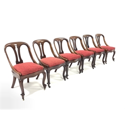 Set six Victorian mahogany dining chairs, pierced splats, drop in upholstered seat pads, raised on scrolled cabriole front supports and brass castors, W50cm
