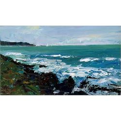 John Shave (British 20th century): 'Rocky Coast', oil on board signed, titled verso 23cm x 40cm
Notes: John Shave is a member of the Wapping Group of Artists and the East Anglian Marine Artists