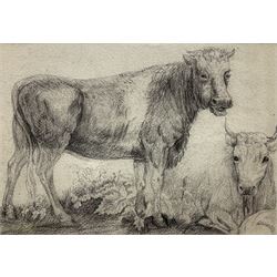 English Naive School (Early 19th century): Prize Bull, pencil sketch on card unsigned 20cm x 29cm