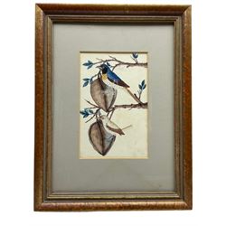 English School (19th century): Birds in Tree, pair gouache unsigned 22cm x 14cm (2)