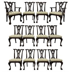 Set of twelve (10+2) Chippendale design mahogany dining chairs, the shaped cresting rail carved with central shell motif and scrolled foliage, pierced and foliate carved splat back, over-stuffed upholstered seats in striped pale fabric, gadroon carved seat rail, acanthus carved cabriole front supports with ball and claw feet, the carvers with extending arms with acanthus leaf carved terminals