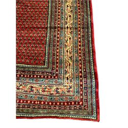 Persian Arrak red ground carpet, the field decorated with repeating Boteh motifs, the wide border with multiple bands decorated with geometric patterns
