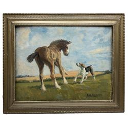 G W Allinson (British 20th century): Foal and Puppy Playing, oil on board signed 35cm x 45cm