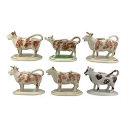 Six Victorian Staffordshire cow creamers with sponged decoration, set on oval bases, some with gilt borders, H13cm max (6)