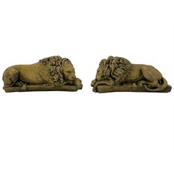 Near pair constituted stone garden or indoor ornaments in the form of recumbent lions, one with paws outstretched, the other gnawing 