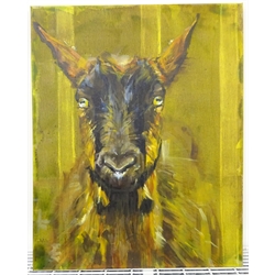 Sarah Williams (British 1961-): Portrait of a Goat, oil on canvas signed and dated 2019 verso 41cm x 50cm 
Notes: Sarah graduated from Norwich School of Art and Design in 1984 with a first-class BA Hons in Fine Art and, having won the Stowell's Trophy, was awarded an unconditional place to study MA Painting at the Royal Academy. She comes from a family of creative talent - her father, Reg Williams, was a member of the York Four. During her three years at Norwich Art School, she exhibited regularly in the school gallery and Norwich Castle and visited Switzerland, exhibiting and working with Kurt Rupe. More recently, she has exhibited in galleries around England and has had her own businesses in Interior Design, Architectural Design, Furniture Design and Jewellery. Sarah has recently returned to painting full-time and, having used a multitude of mediums in her creative work, now confesses she is an oil-paint addict. It is 