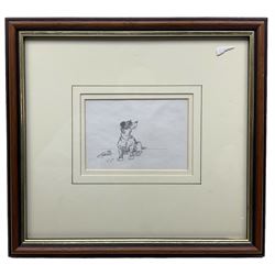Tom Dodson (British 1910-1991): Terrier with Mouse, pencil drawing signed with initials 9cm x 13cm