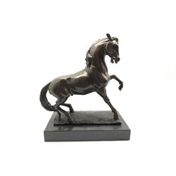 Bronze figure modelled as a prancing horse, upon a naturalistically modelled rectangular base and black marble plinth, H34.5cm  W16cm  L31cm