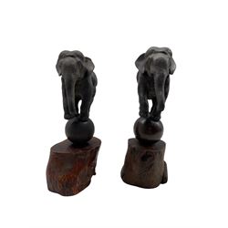 Pair of Japanese Meiji bronze elephants each balancing on a ball with a raised foreleg and on a wooden base H30cm overall