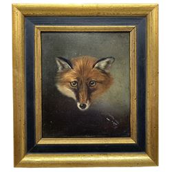 Attrib. Philip Reinagle (British 1749-1833): Fox Mask, oil on board unsigned  15cm x 13cm 
Provenance: Purchased from Tryon Gallery 1969 