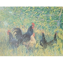 Coloured print of poultry in a field, 34cm x 42cm and another of a duck (2)