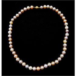 Single strand peach, white and pink pearl necklace, with 9ct gold clasp