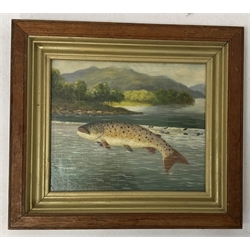 Style of Roland Knight, trout in a river landscape, oil painting, 27cm x 33cm