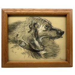 Continental School (Early 20th century): Study of a Lurcher, pencil with pastel initialled and dated 1922, 19cm x 24cm