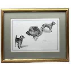Kurt Meyer-Eberhardt (German 1895-1977): Kitten Playing with Fly and Three Curious Kittens, near pair original engravings signed in pencil together with a black and white print of a Border Terrier max 36cm x 40cm (3)
