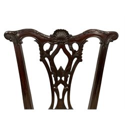 Set of twelve (10+2) Chippendale design mahogany dining chairs, the shaped cresting rail carved with central shell motif and scrolled foliage, pierced and foliate carved splat back, over-stuffed upholstered seats in striped pale fabric, gadroon carved seat rail, acanthus carved cabriole front supports with ball and claw feet, the carvers with extending arms with acanthus leaf carved terminals