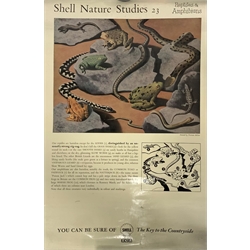 Nine Shell posters comprising guides to Argyll, Cornwall, Derbyshire, Sussex and Yorkshire and four Nature Studies Nos.5,7,20 & 23, together with photographic poster of York Minster, all unframed (10)