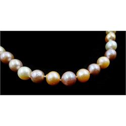 Single strand cultured peach, white and pink pearl necklace, on 9ct gold clasp stamped 375