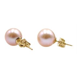 Pair of 9ct gold ivory/pink pearl stud earrings, stamped 375