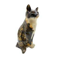 Winstanley pottery model of a seated Cat, H34.5cm 