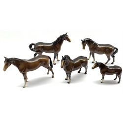 Beswick model of a Swish Tailed Horse No. 1182 in brown gloss, first version,  Beswick race horse in brown gloss No. 701. second version and three other brown gloss Beswick horses (5)