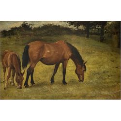 English School (19th century): Foal and Mare Grazing, oil on board unsigned 23cm x 34cm
