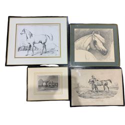 After Carle Vernet (French 1758-1836): Andalusian Horses, pair lithographs; after Victor Adam (French 1801-1866): Arab Horses, four lithographs with hand colouring together with four further lithographs of Arabian, Palomino and other horse breeds max 37cm x 47cm (10)