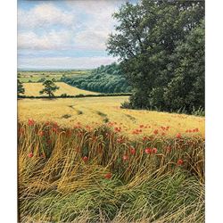 Neil Spilman (British 1951-): 'Summer over the Vale of York', oil on canvas signed and dated 2006, 25cm x 30cm