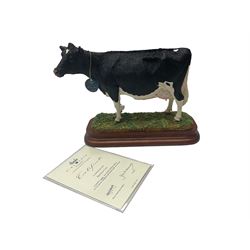 Border Fine Arts Limited Edition Holstein Cow by Kirsty Armstrong No.613/750, boxed and with certificate