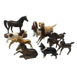 Collection of Beswick animals including matt yellow Labrador 'Solomon of Wendover' 1548, Running Spaniel 1057, Sheepdog 1854, Arab Xayal from the Connoisseur series 1265, two palomino foals, five brown foals and a Doulton spaniel (12)