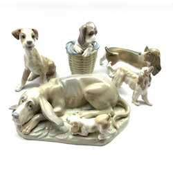 Lladro Afghan hound H12cm, Lladro Bassett hound, two other Lladro dogs and a large Nao group of a hound and puppy