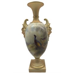 Early 20th century Royal Worcester blush ivory vase by H. A. Stinton, ovoid form with twin satyr mask handles and flared neck, hand painted with Pheasants in a highland landscape, signed H. A. Stinton, upon square foot, puce printed marks beneath including shape number 1716 and date code for 1911, H21cm