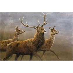 Robert E Fuller (British 1972-): 'Red Stag And Hinds', limited edition colour print signed in pencil and numbered 13/850, 20cm x 30cm