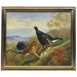 English School (Late 20th Century): Blackcock and Grouse, oil on canvas indistinctly signed 49cm x 60cm 