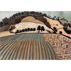 Graham Clarke (British 1941-): 'Hill at Woodlands', limited edition colour wood cut print signed and titled in pencil 42cm x 60cm