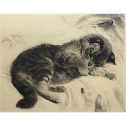 Kurt Meyer-Eberhardt (German 1895-1977): Kitten Playing with Fly and Three Curious Kittens, near pair original engravings signed in pencil together with a black and white print of a Border Terrier max 36cm x 40cm (3)