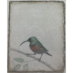 Victor Koulbak (Russian/French 1946-): 'Long Beak', silverpoint and watercolour signed with monogram, labelled and dated 2007 verso exhibited London Portland Gallery September 2008, 32cm x 25cm