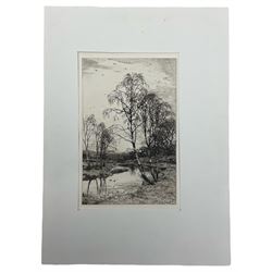 Frederick Albert Slocombe (British c1847-c1920): Birches by the River, etching signed and dated 1884 in the plate 20cm x 13cm (unframed)