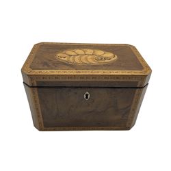 George III yew wood tea caddy with satinwood banding, the hinged cover inlaid with a large shell W19cm
